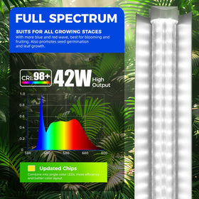 Barrina T8 with reflector increases efficiency and light concentration for brighter results