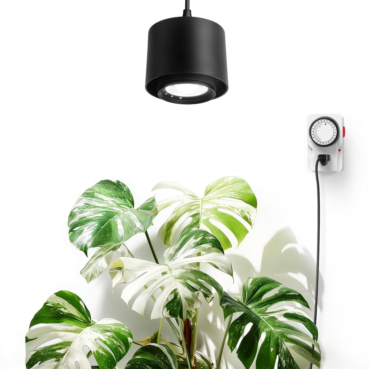 Barrina TR40 hanging grow light with 15-degree beam for targeted plant spotlight and even coverage.
