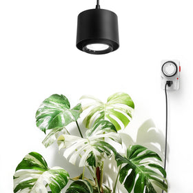 Barrina TR40 hanging grow light with 15-degree beam for targeted plant spotlight and even coverage.