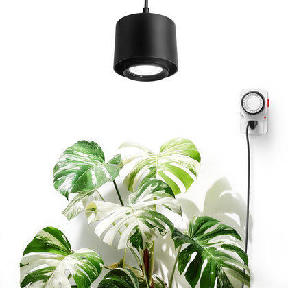 Barrina TR40 hanging grow light with 15-degree beam for targeted plant spotlight and even coverage.