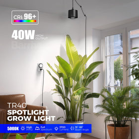 Barrina TR40 hanging grow light with 30-degree beam for mid-area plant clusters and broader coverage.