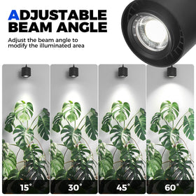Barrina TR40 hanging grow light with 45-degree beam balances focus and diffusion for compact setups.
