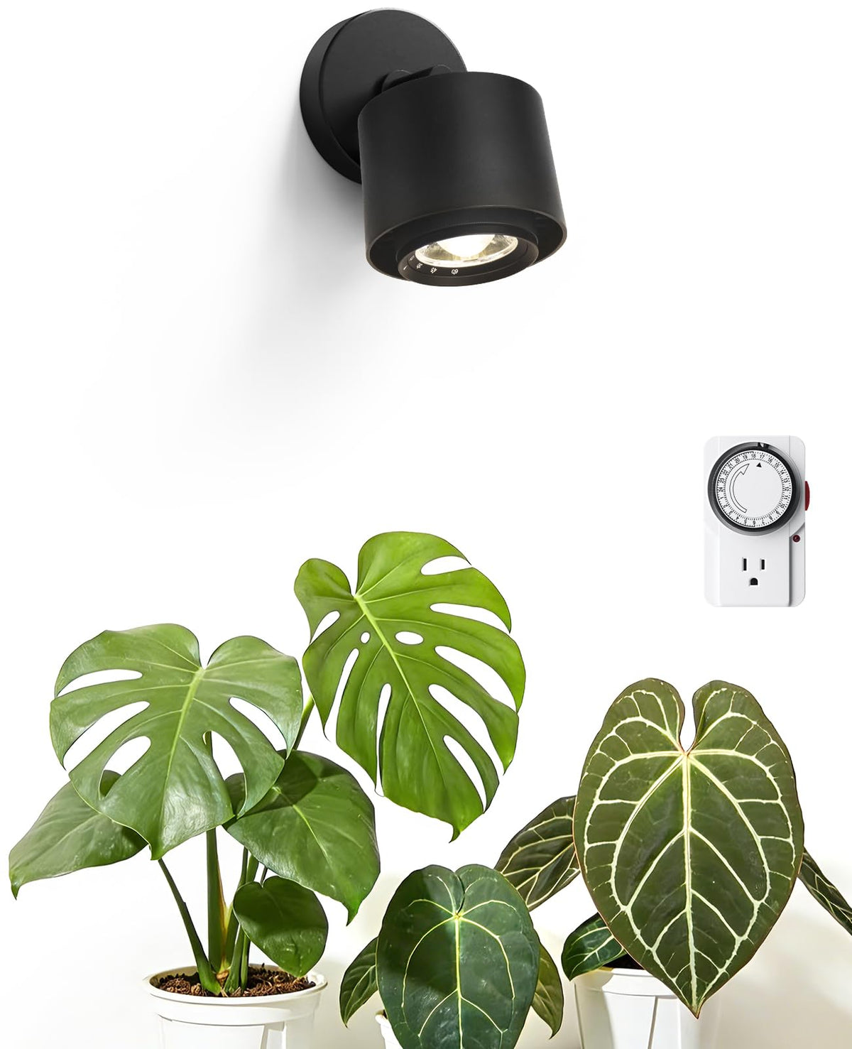 Barrina TR40a beam-angle range from 15° to 60° for precise plant lighting.