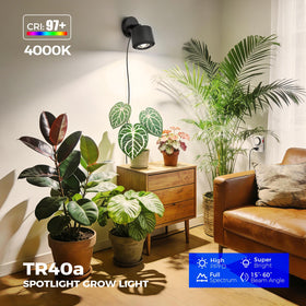 Barrina TR40a full-spectrum light with CRI 97 for accurate plant tones.