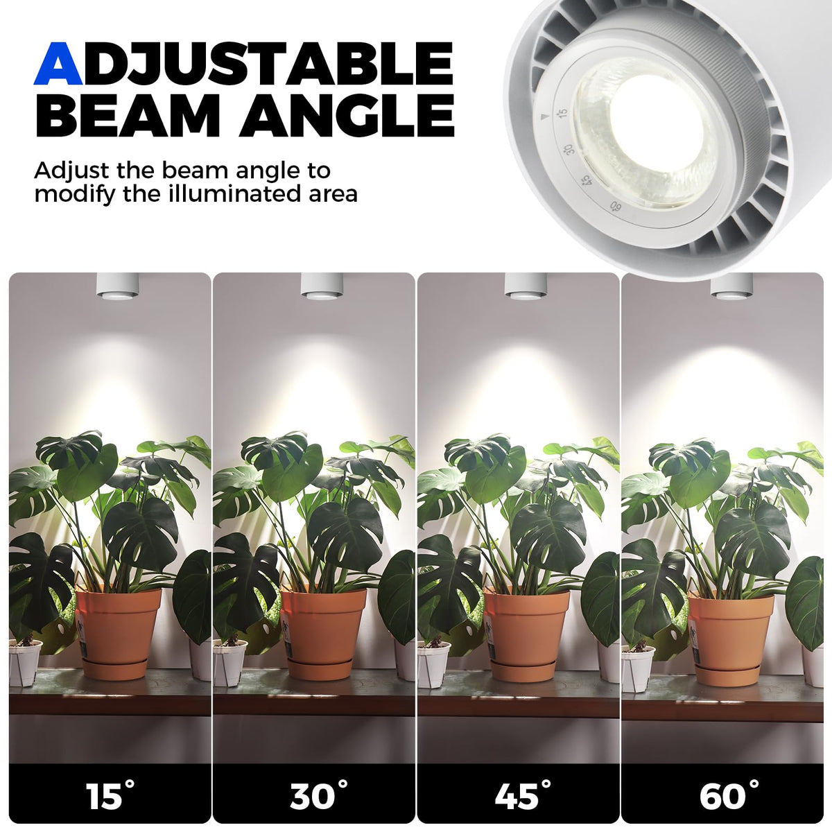 Barrina TR40c timer module ensures consistent lighting schedules for plants