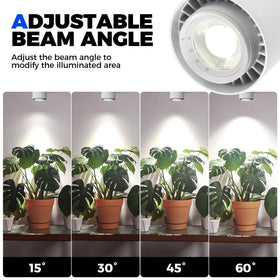 Barrina TR40c timer module ensures consistent lighting schedules for plants