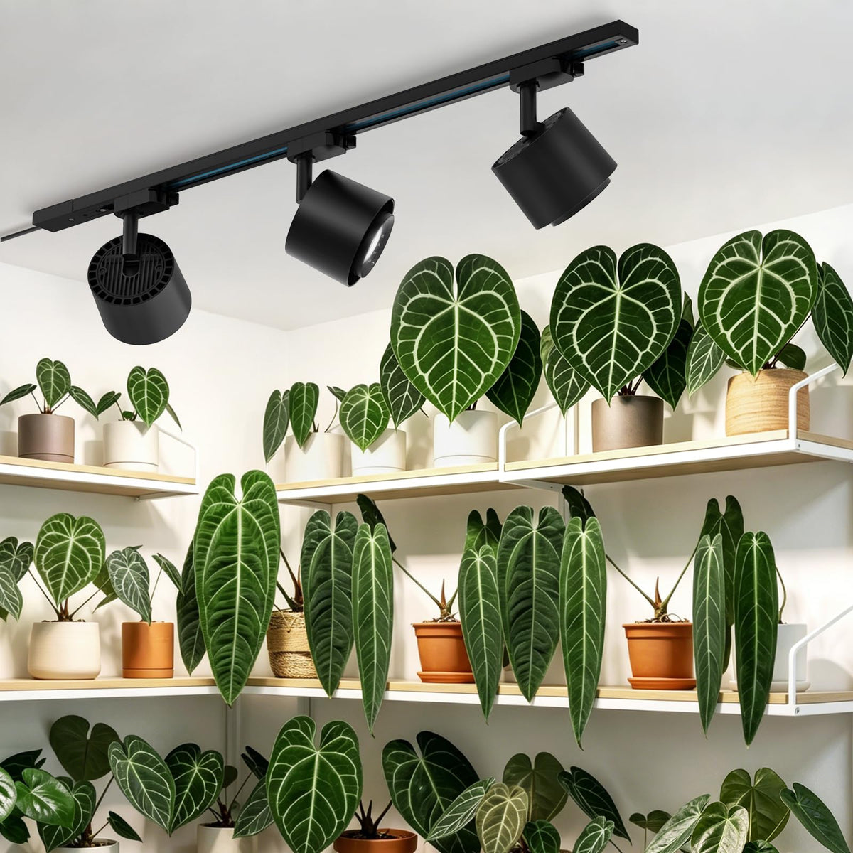 Barrina TR40c track light assembly for versatile indoor plant lighting.