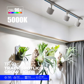 Barrina TR40c rail with 350-degree rotation enables versatile coverage across indoor plant corners