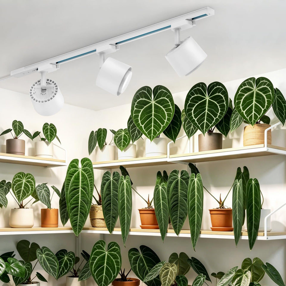 Barrina TR40c track light head tilted for focused plant lighting, boosting growth potential