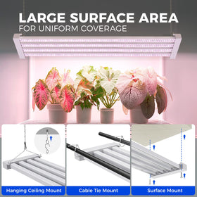 Barrina TX-L63 fixture provides flexible hanging and mounting for varied indoor layouts.