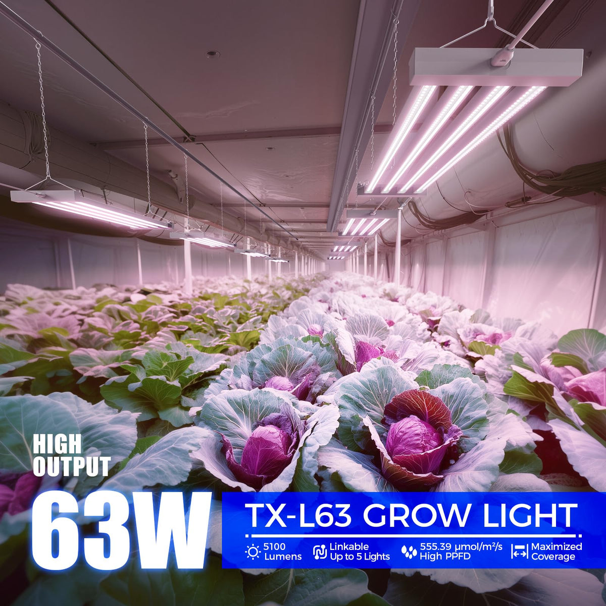 Barrina TX-L63 LED grow light delivers full spectrum for seedling vigor and healthy foliage.