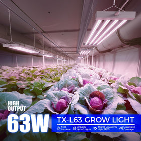 Barrina TX-L63 LED grow light delivers full spectrum for seedling vigor and healthy foliage.