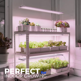 Barrina TX-L84 360-degree cooling promotes steady performance and longer life.