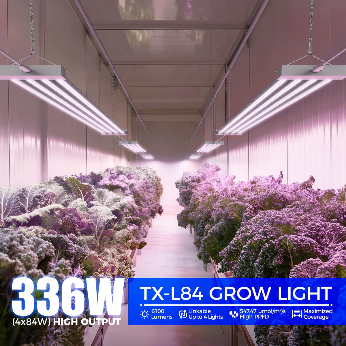 Barrina TX-L84 full spectrum LEDs support healthy herb growth