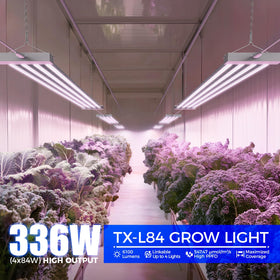 Barrina TX-L84 full spectrum LEDs support healthy herb growth