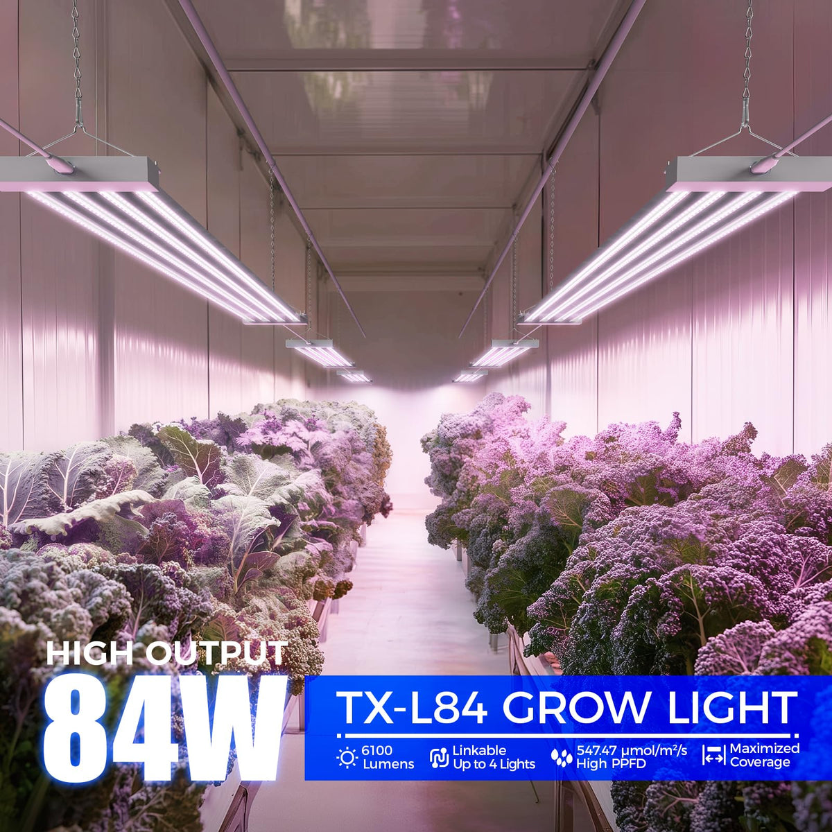 Barrina TX-L84 full spectrum red-blue light supports seedling and vegetative growth.
