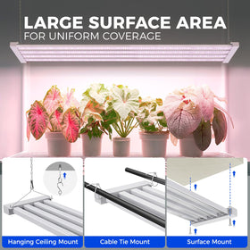 Barrina TX-L84 linkable design shows how multiple units expand coverage.
