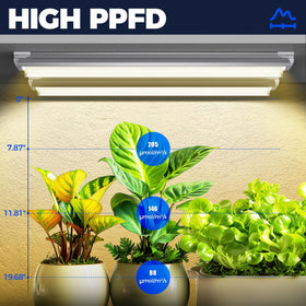 Barrina V-shaped T8 closeup shows efficient diodes for indoor growth