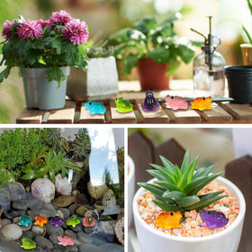Barydat glow-pack includes luminous frogs for cohesive terrarium decor