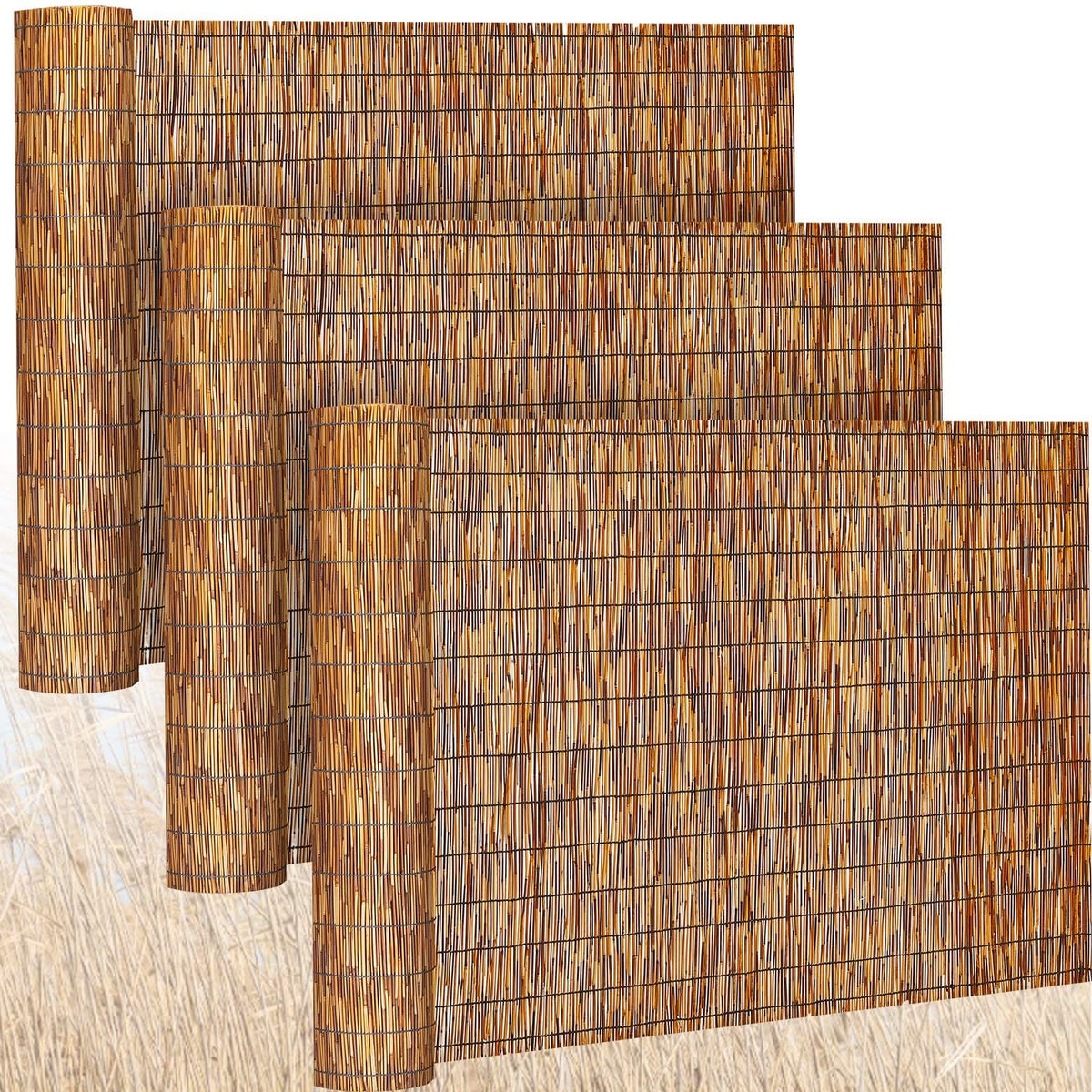 Barydat reed fence roll close-up showing natural texture and shade