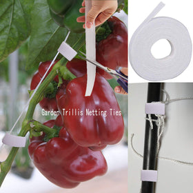 BaseGoal tidy harvest with netting keeps produce clean and accessible.