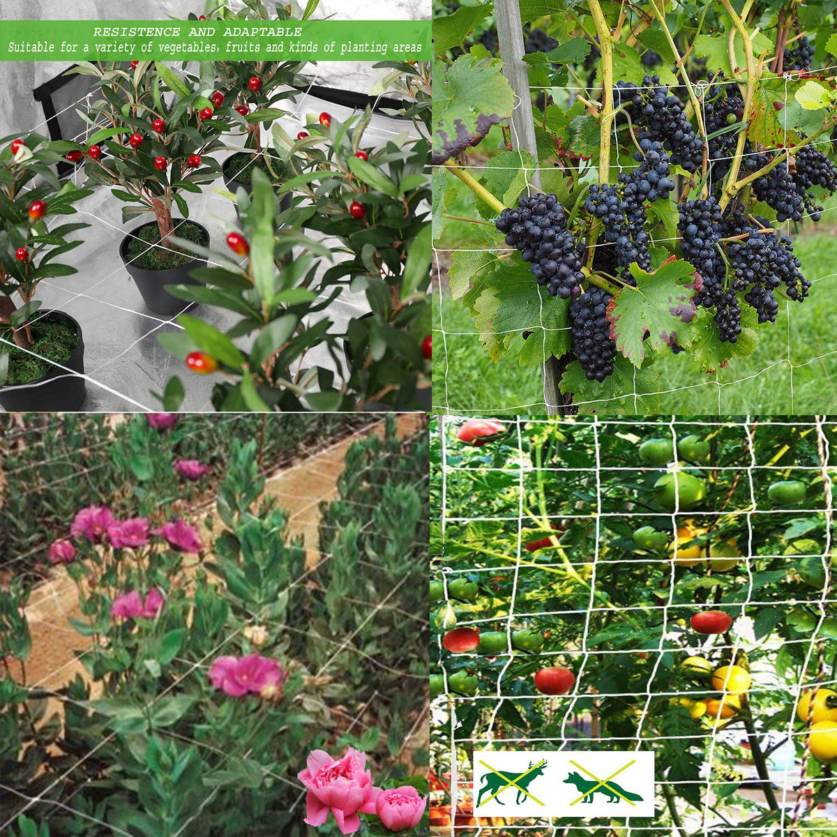 BaseGoal easy-install trellis netting with ties for quick setup