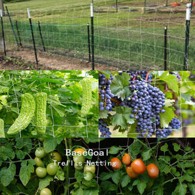 BaseGoal hydroponics-ready netting supports vines in compact setups.