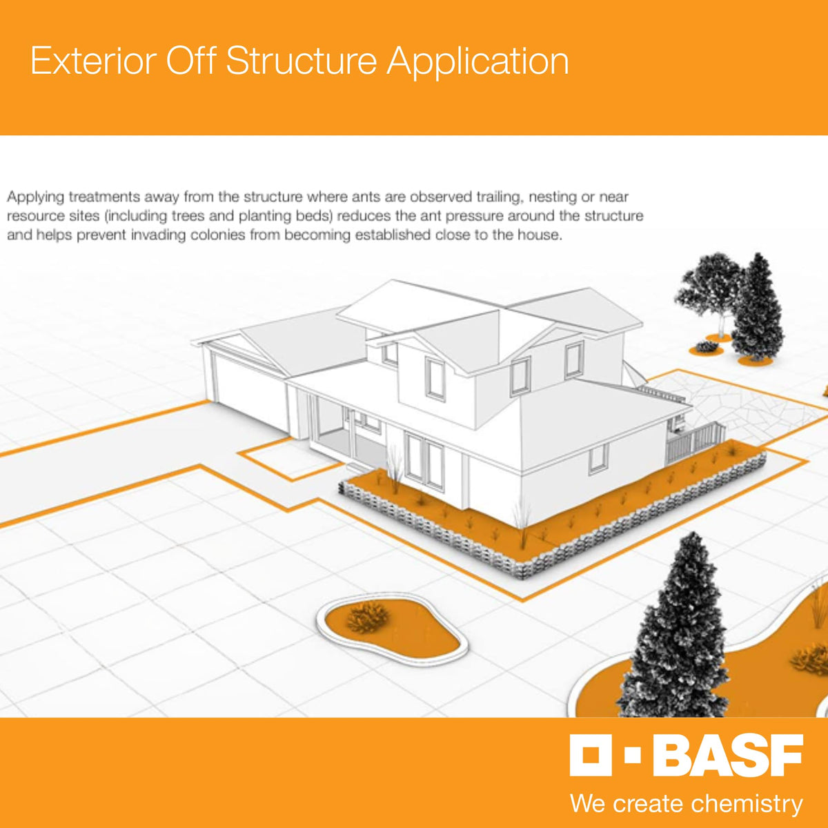 Ant-control transfer effect targets hidden nests with BASF Alpine WSG
