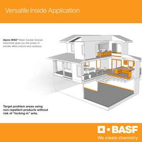 Bed-bug-control capability improves treated area coverage with BASF Alpine WSG