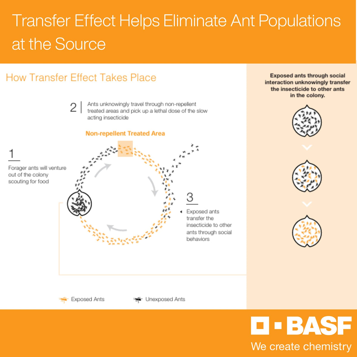 Indoor-outdoor application by BASF Alpine WSG suitable for homes and businesses
