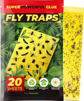 BASIC CONCEPTS Fruit Fly Trap front view, ready-to-use 20-pack for quick setup.