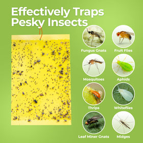 BASIC CONCEPTS Yellow sticky trap indoors near plants for pest control.