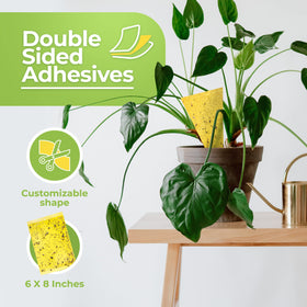 BASIC CONCEPTS Yellow sticky trap outdoors on patio for pest management.