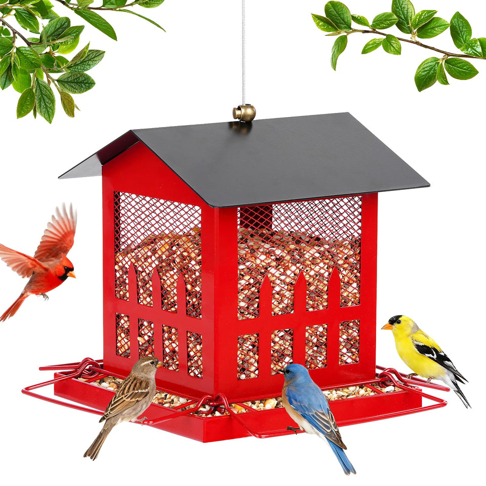 Basysnck Bird Feeder front view with red house design attracting diverse backyard birds