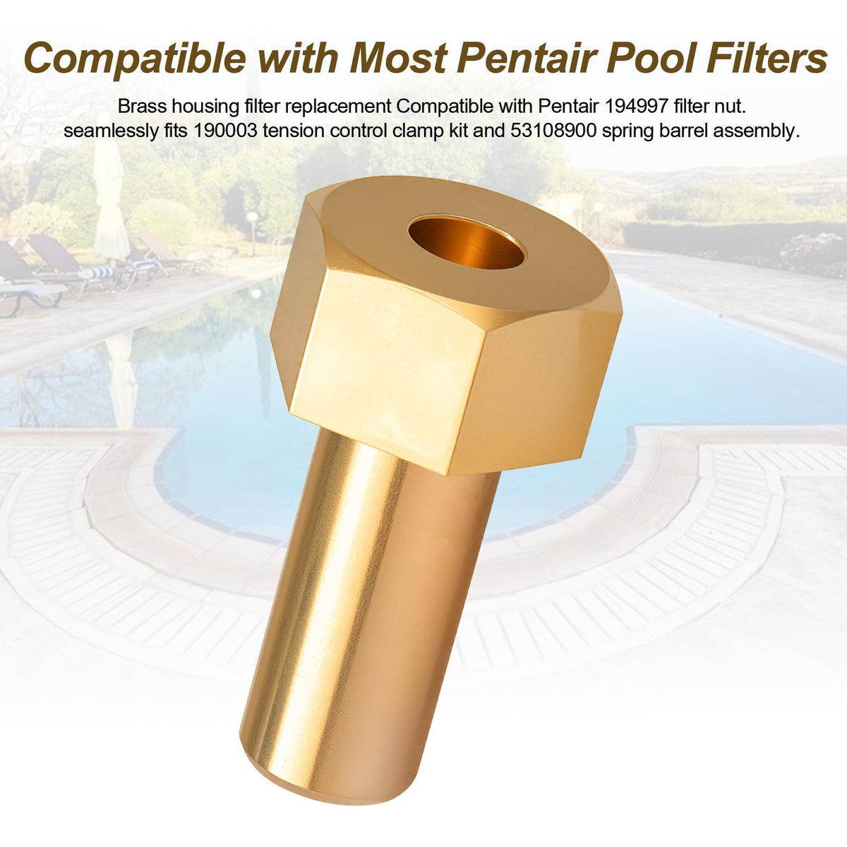 Batator brass screw-2pcs detail showing secure assembly for pool filter housing.