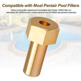 Batator brass screw-2pcs detail showing secure assembly for pool filter housing.
