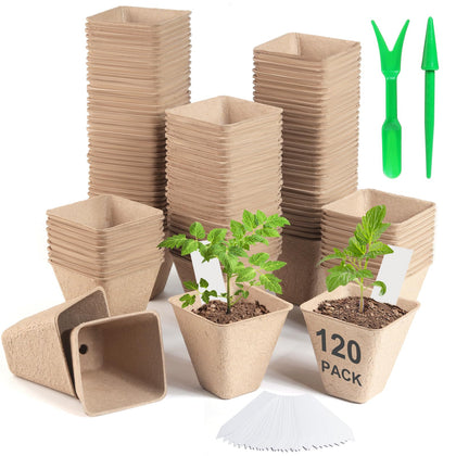 Baxrou peat pots 3.15-inch square close-up, ideal for fast seed germination on a sunny windowsill.