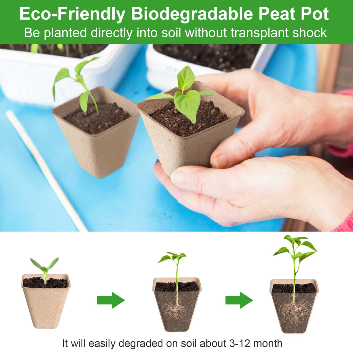 Baxrou 30 plant labels accompany the pots for organized seed tracking.