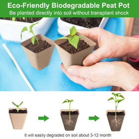 Baxrou 30 plant labels accompany the pots for organized seed tracking.