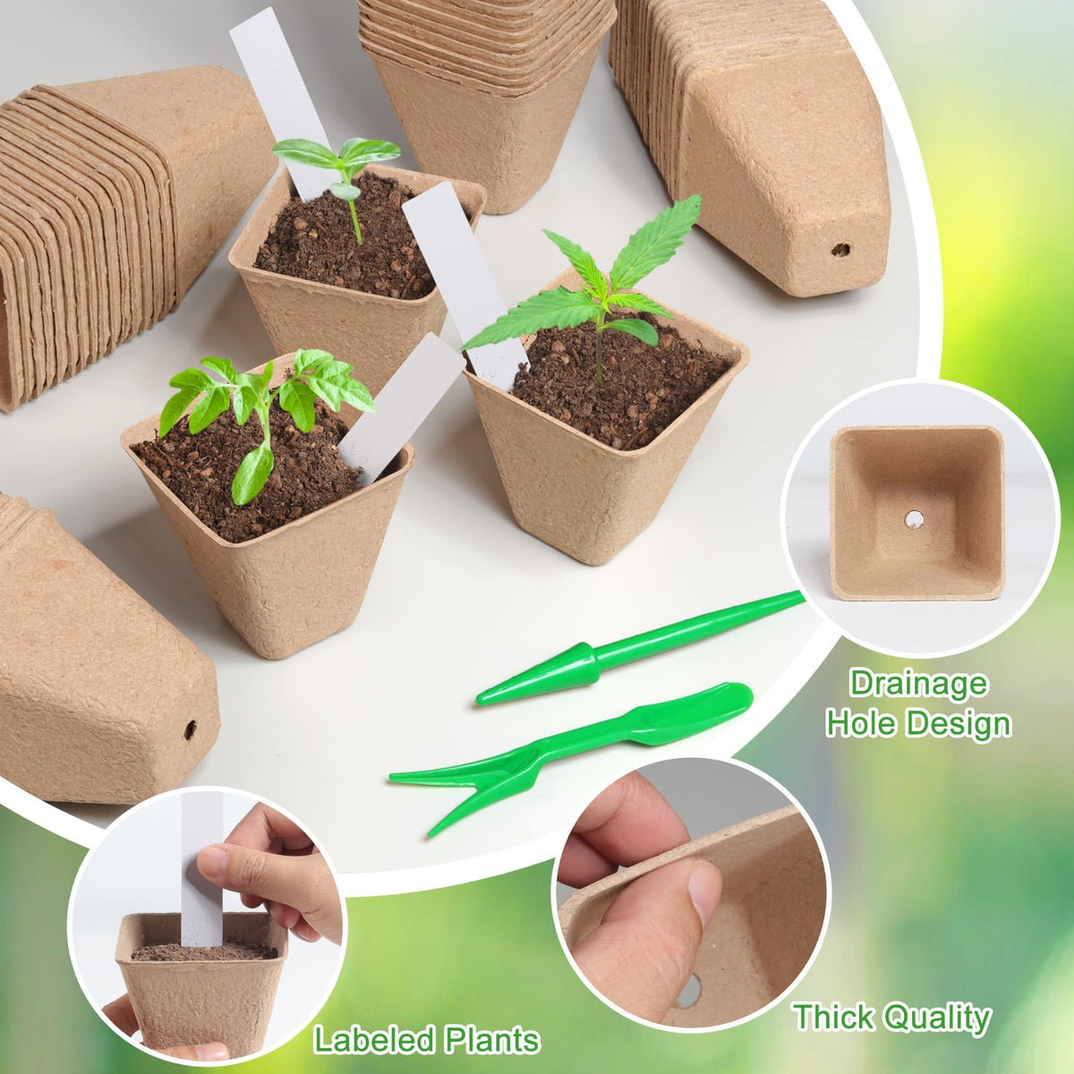 Baxrou recycled-pulp nursery pots highlight breathable material that supports root development.
