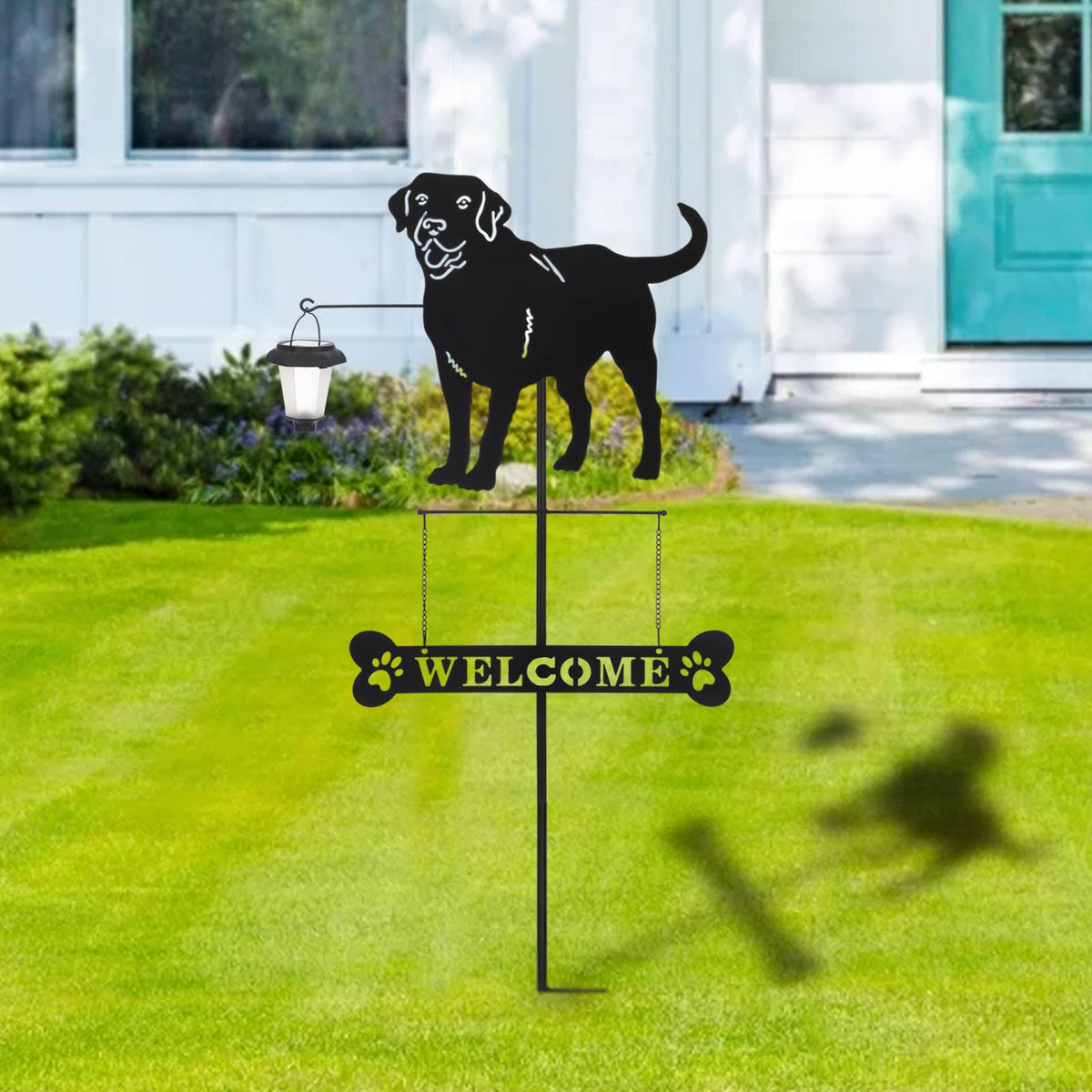 BAYN perfect gift for dog lovers to greet guests