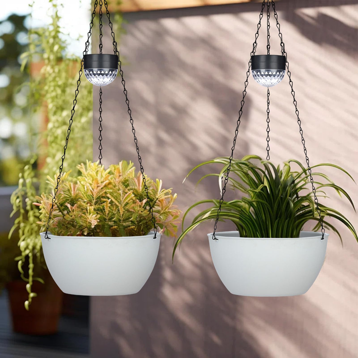 Bayn planters are suitable for flowers, herbs, or trailing plants with flexible placement.