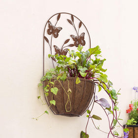 BAYN planting area supports herbs, succulents, and trailing plants like ivy.