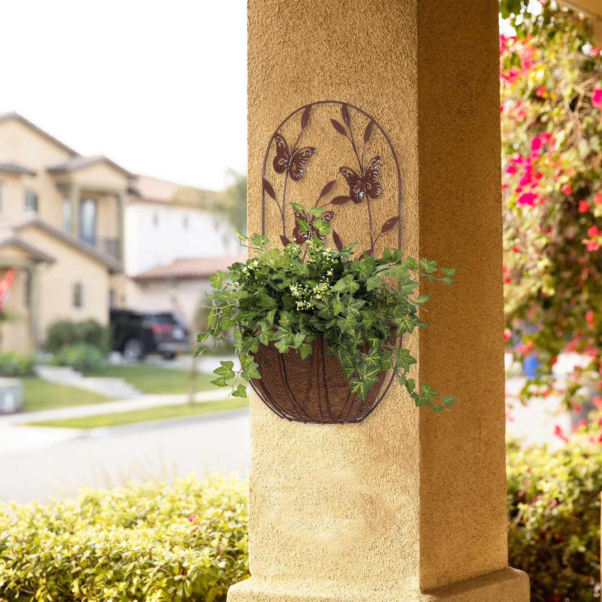 BAYN wall-mounted planters help keep plants out of pets' reach and save space.