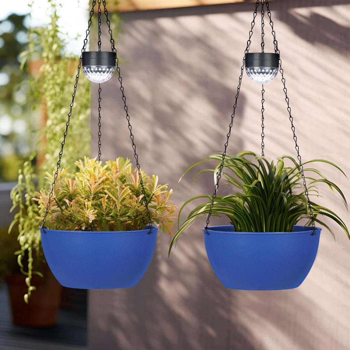 BAYN porch or pergola hanging setup for plant drama and ambiance