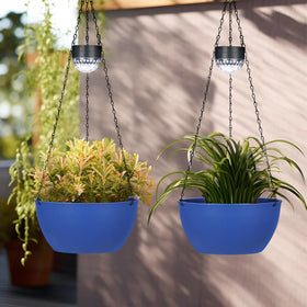 BAYN porch or pergola hanging setup for plant drama and ambiance
