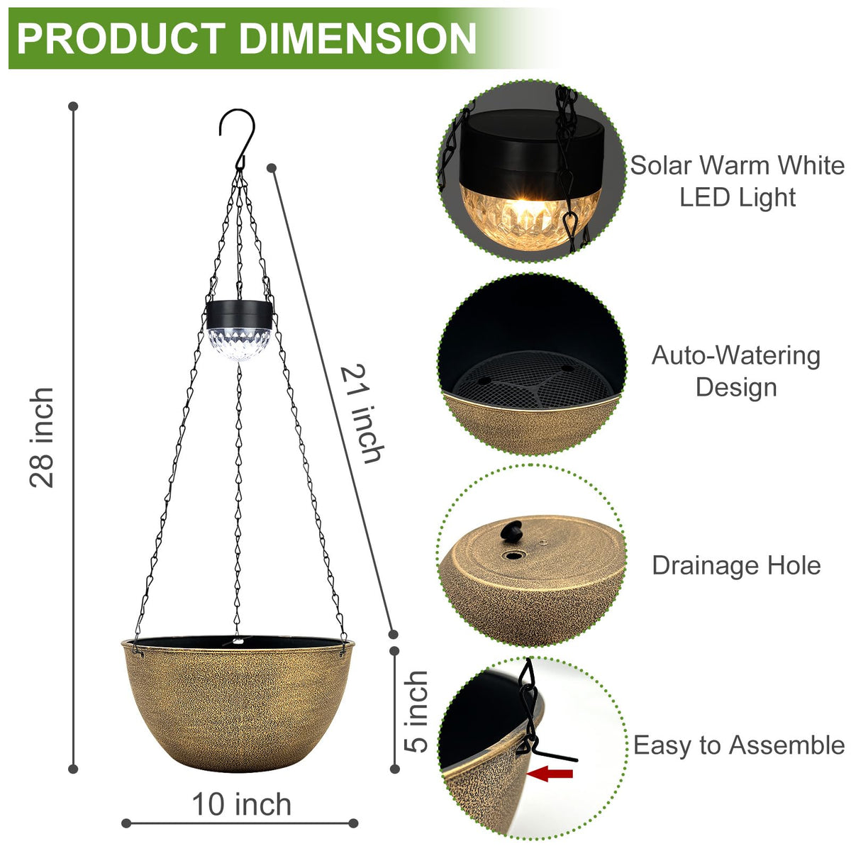 BAYN planter drainage base helps prevent overwatering and drought stress.