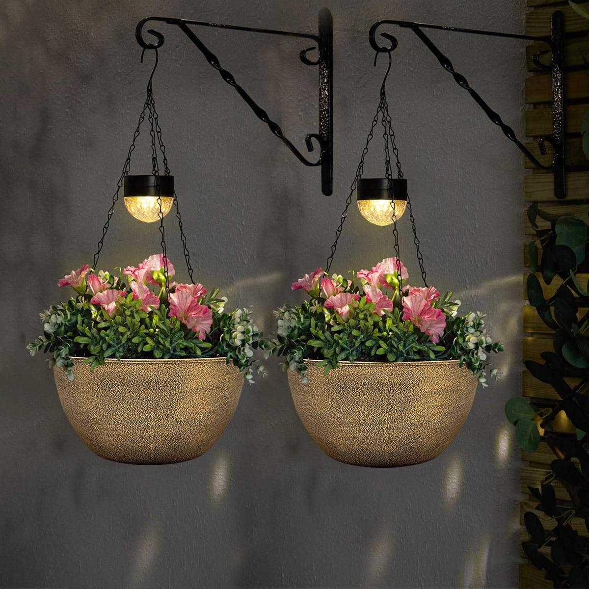 BAYN hanging planter showcasing vibrant herbs or trailing plants.