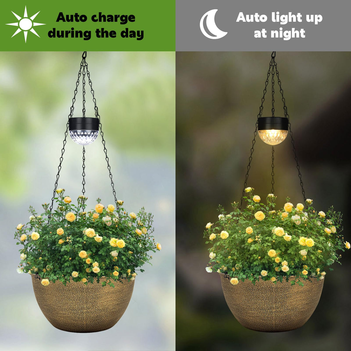BAYN solar light and planter ready to hang from porch or pergola.