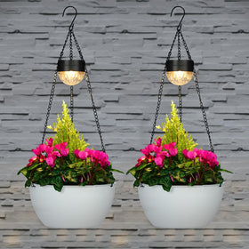 Bayn solar light adds a warm glow at dusk to enhance garden ambience.